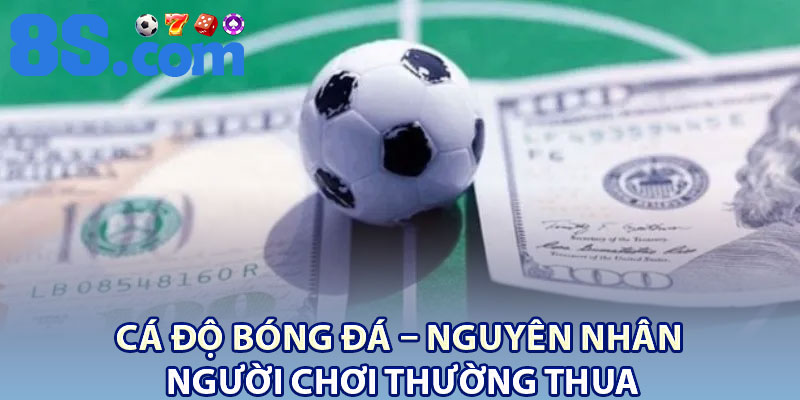 Cá Độ Bóng Đá – Nguyên Nhân Người Chơi Thường Thua 1 Ca Do Bong Da – Nguyen Nhan Nguoi Choi Thuong Thua