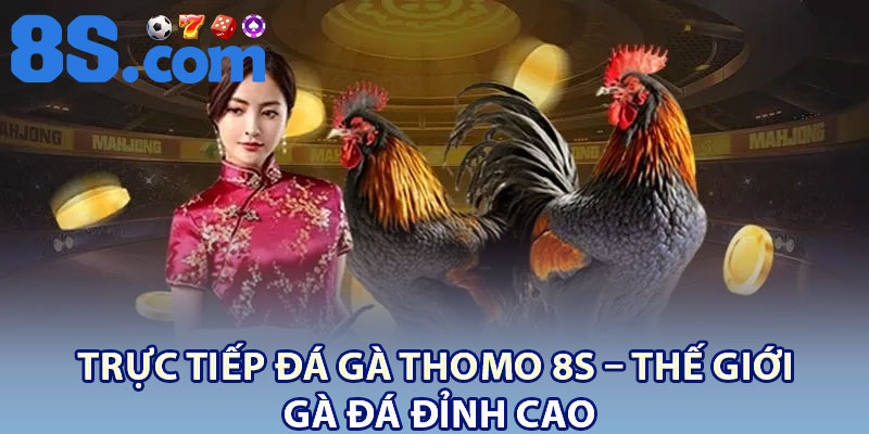 Trực Tiếp Đá Gà Thomo 8S – Thế Giới Gà Đá Đỉnh Cao 1 Truc Tiep Da Ga Thomo 8S – The Gioi Ga Da Dinh Cao